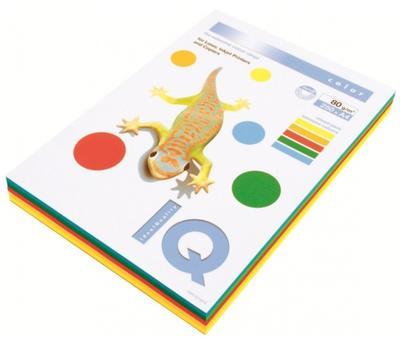 IQ Color MIX BAREV - intenzivní barvy, 5x50 listů