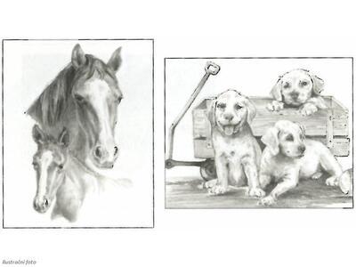 Sketching Made Easy Dog&Horses - sada na skicování dle předlohy - 2