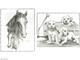 Sketching Made Easy Dog&Horses - sada na skicování dle předlohy - 2/3