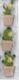Dřevěná dekorace samolepicí Kaktusy - 3ks, 3,5x3,5cm, přírodní, zelená mix - 2/2