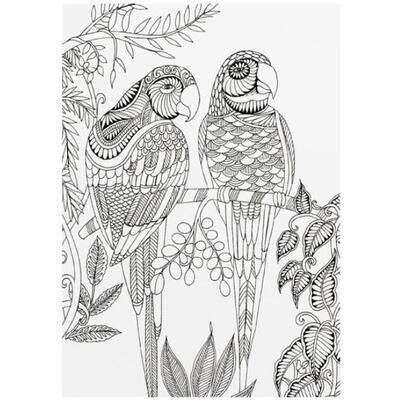 Omalovánky antistresové - Krásní ptáci A4, 210x290/32 stran - 2