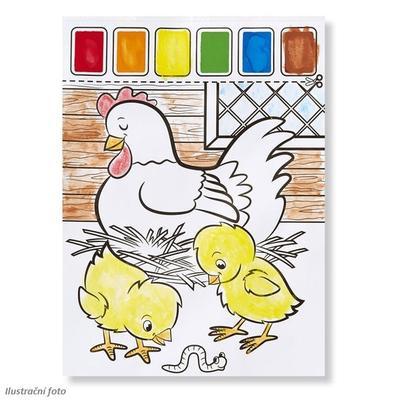 Omalovánky s barvami - Zvířata na farmě - 3